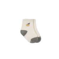 Fresh Apple Crew Sock - Jacquard Fresh Apple Cloud/Moss Childrens Sock from Jamie Kay NZ