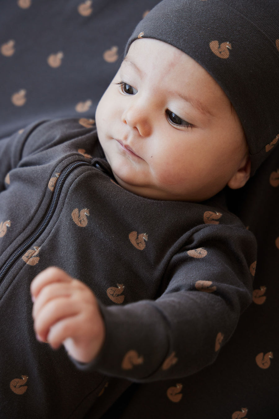 Organic Cotton Reese Zip Onepiece - Fox Cubs Wolf Childrens Onepiece from Jamie Kay NZ