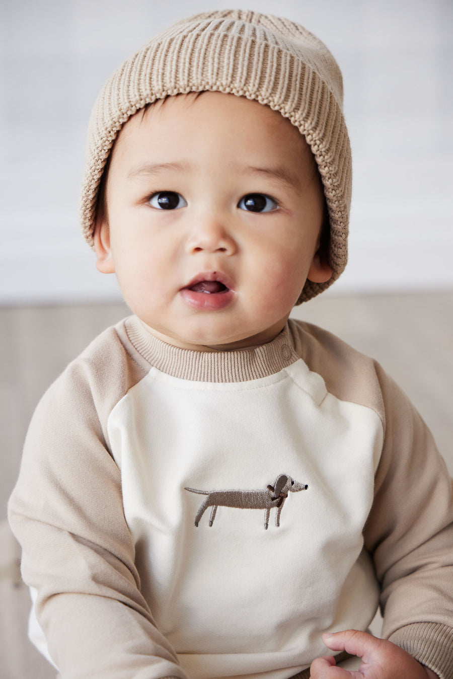 Organic Cotton Tao Sweatshirt - Cosy Basil Fawn Childrens Top from Jamie Kay NZ