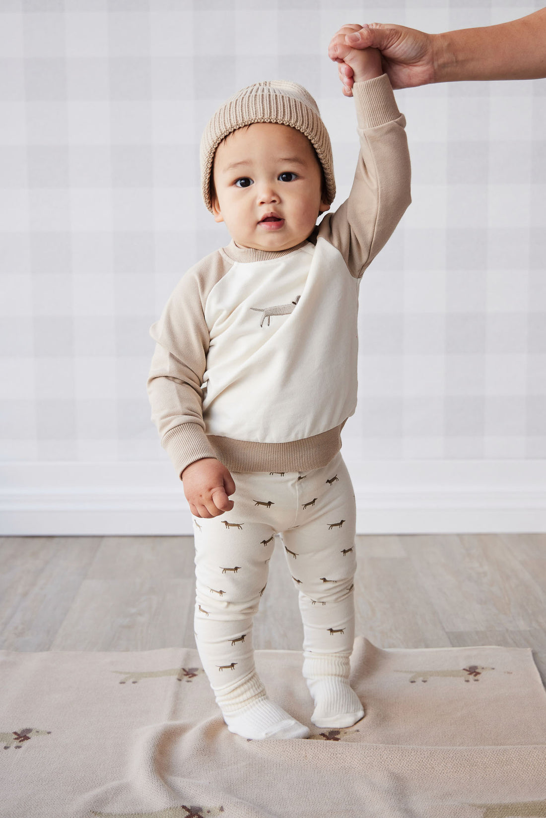 Organic Cotton Tao Sweatshirt - Cosy Basil Fawn Childrens Top from Jamie Kay NZ