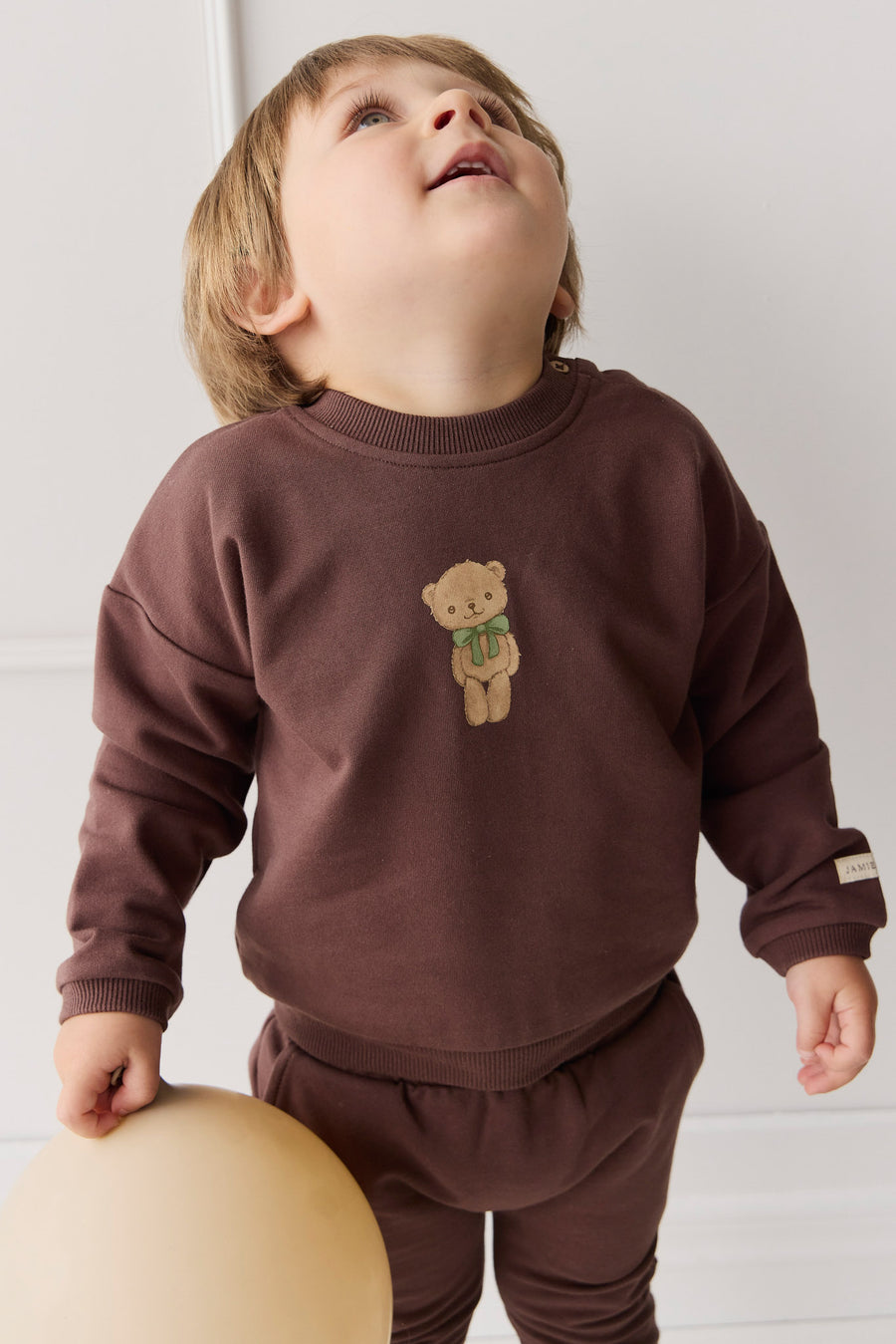 Organic Cotton Damien Sweatshirt - Earth Little Ted Childrens Top from Jamie Kay NZ