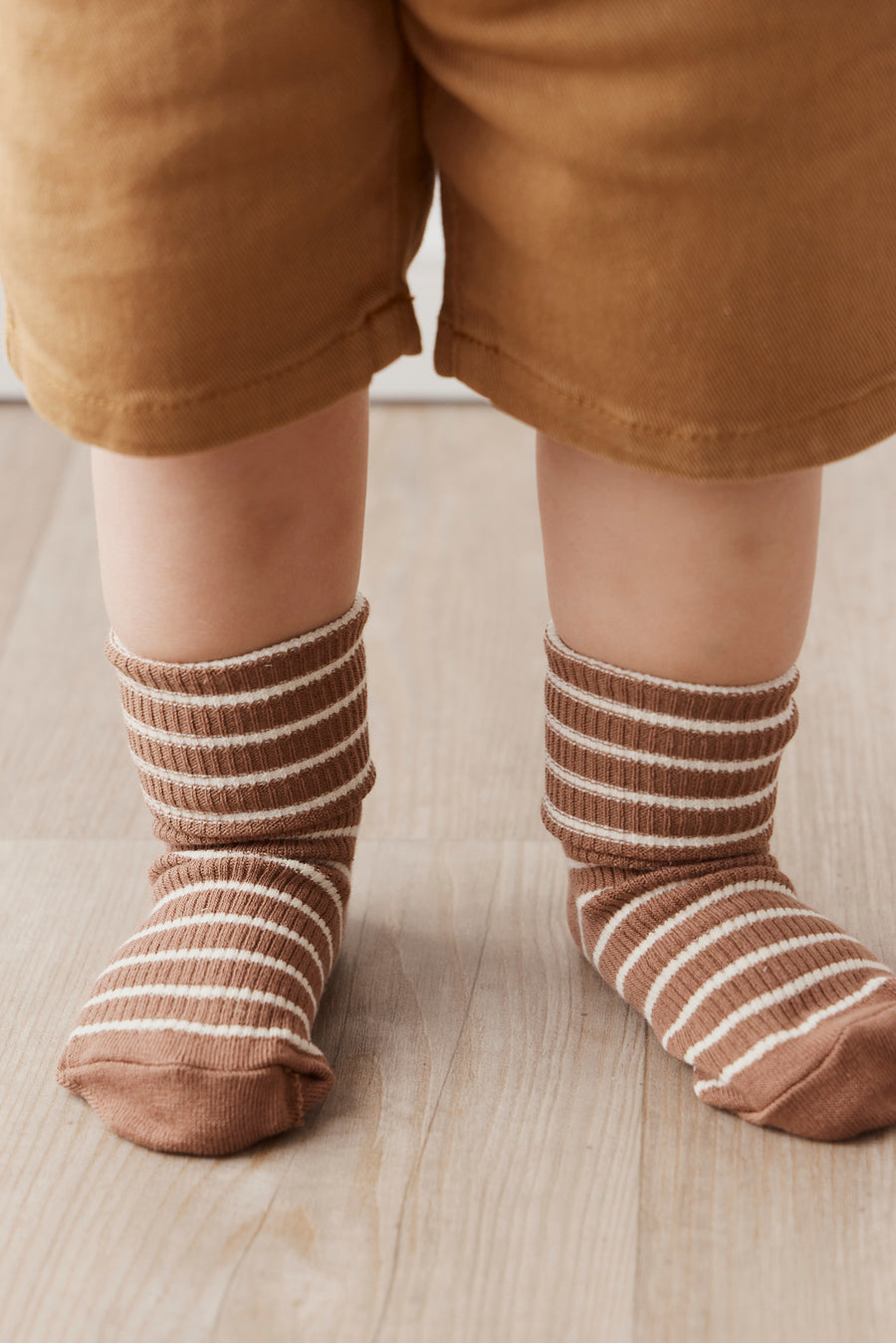 Classic Rib Sock - Hazelnut Stripe Childrens Sock from Jamie Kay NZ