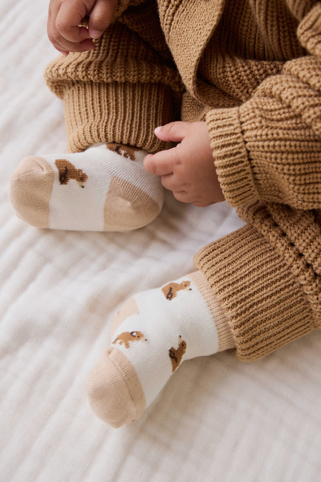 Honey Bear Socks - Honey Bear Childrens Socks from Jamie Kay NZ