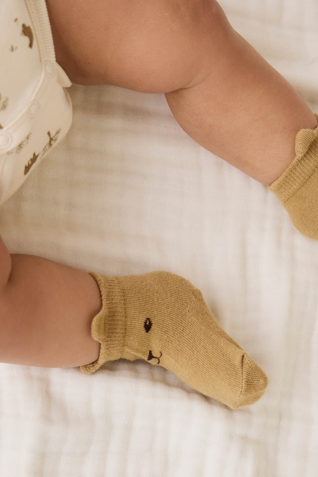 George Bear Ankle Sock - Buckwheat Childrens Socks from Jamie Kay NZ