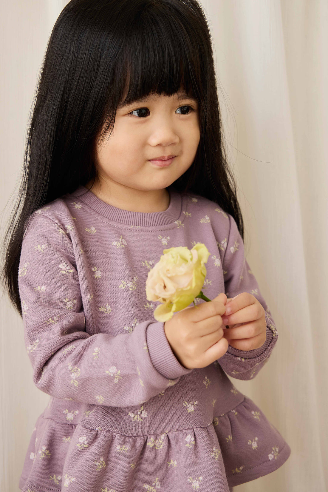 Organic Cotton Emiko Sweatshirt - Isla Plum Childrens Sweatshirting from Jamie Kay NZ