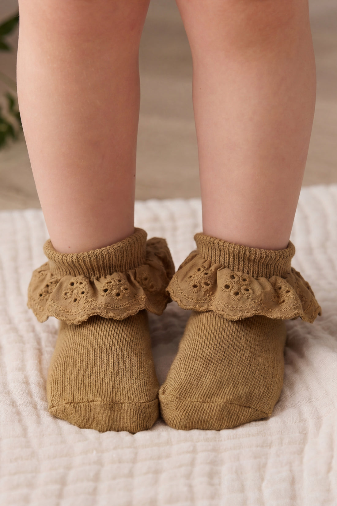 Frill Ankle Sock - Antique Bronze Childrens Socks from Jamie Kay NZ