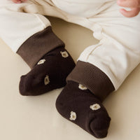 Bobbie Bear Sock - Jacquard Brownie Childrens Sock from Jamie Kay NZ