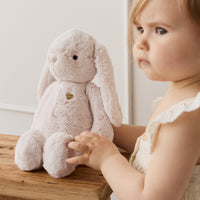 Snuggle Bunnies - Fairy Penelope - Pastel Childrens Toy from Jamie Kay NZ