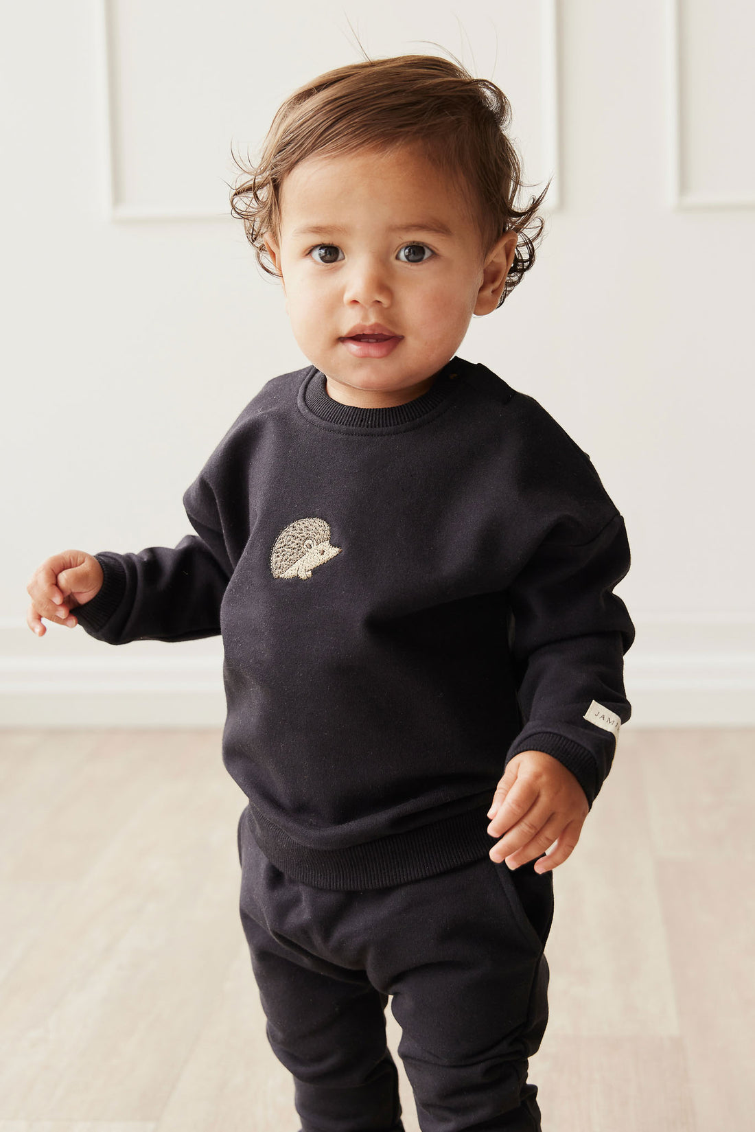 Organic Cotton Damien Sweatshirt - Constellation Hedgehog Childrens Top from Jamie Kay NZ