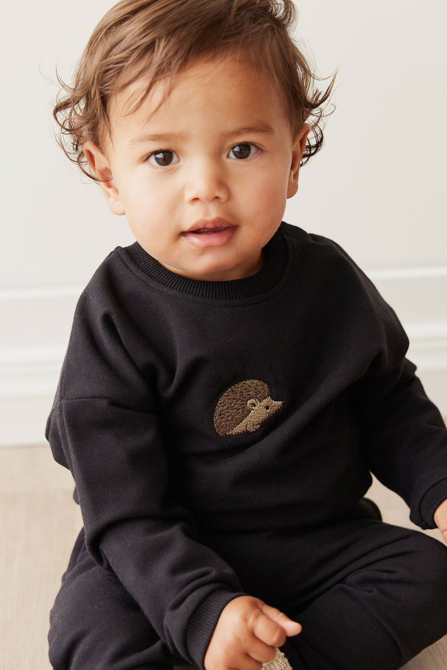 Organic Cotton Damien Sweatshirt - Constellation Hedgehog Childrens Top from Jamie Kay NZ