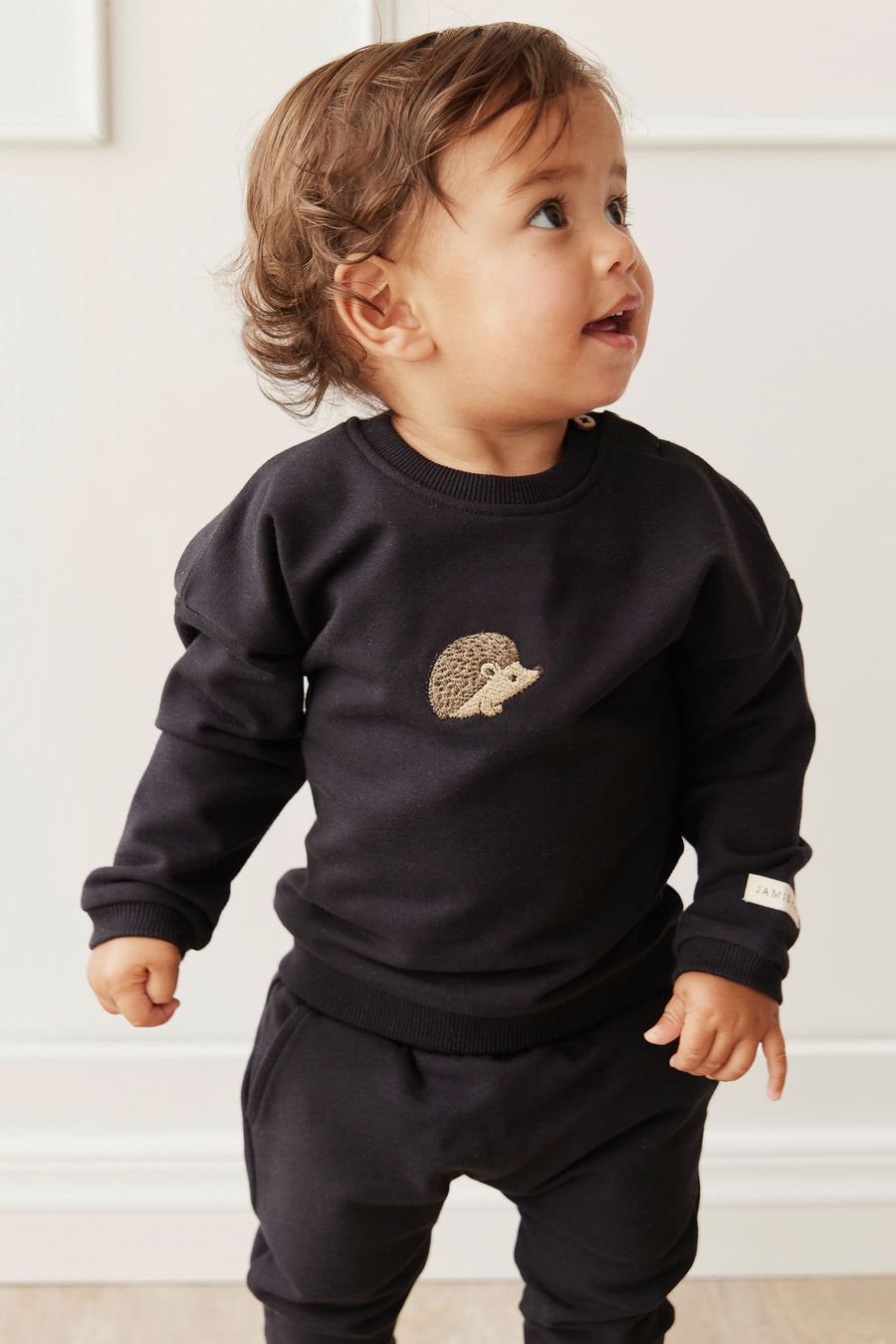 Organic Cotton Damien Sweatshirt - Constellation Hedgehog Childrens Top from Jamie Kay NZ