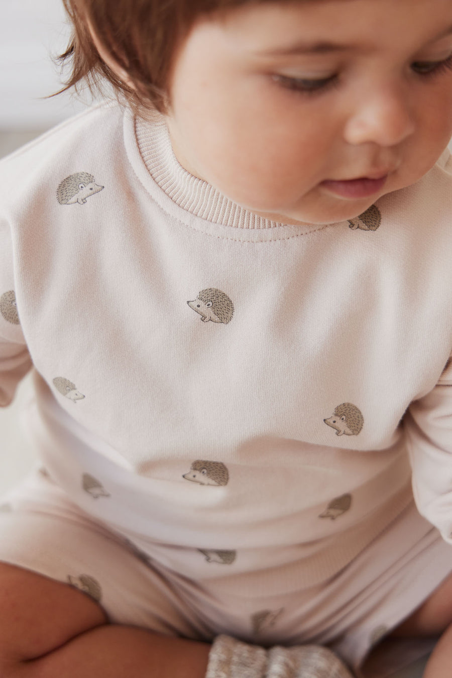 Organic Cotton Kit Sweatshirt - Henry Hedgehog Birch Childrens Top from Jamie Kay NZ