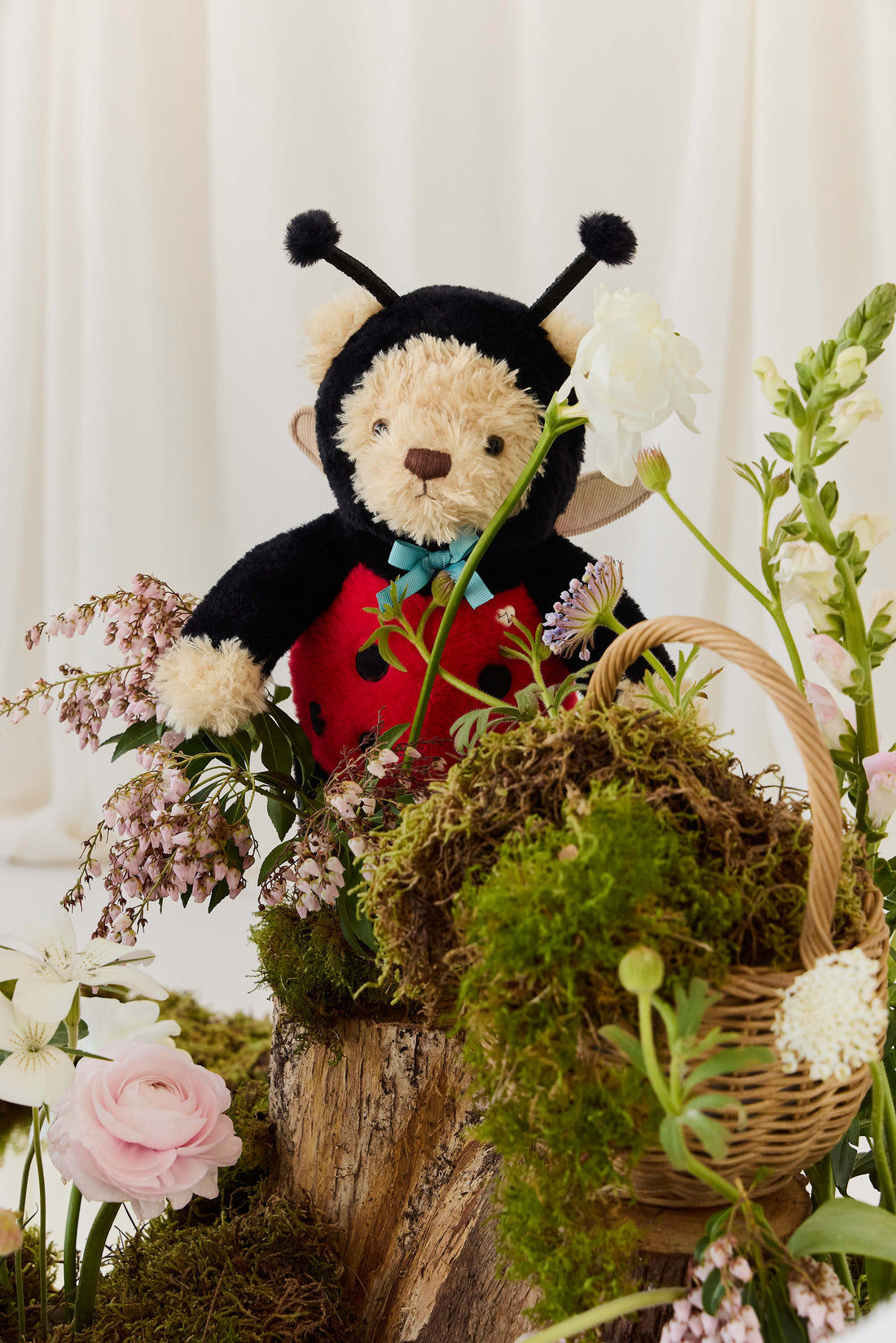 Snuggle Bunnies - Arthur the Bear - Lovebug Childrens Toys from Jamie Kay NZ