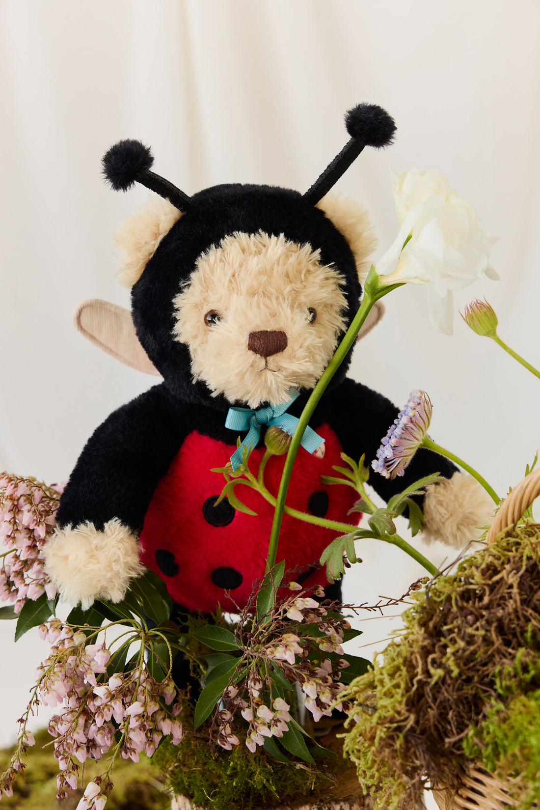 Snuggle Bunnies - Arthur the Bear - Lovebug Childrens Toys from Jamie Kay NZ