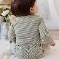 Organic Cotton Modal Legging - Petite Stripe Avocado Oil / Cloud Childrens Legging from Jamie Kay NZ