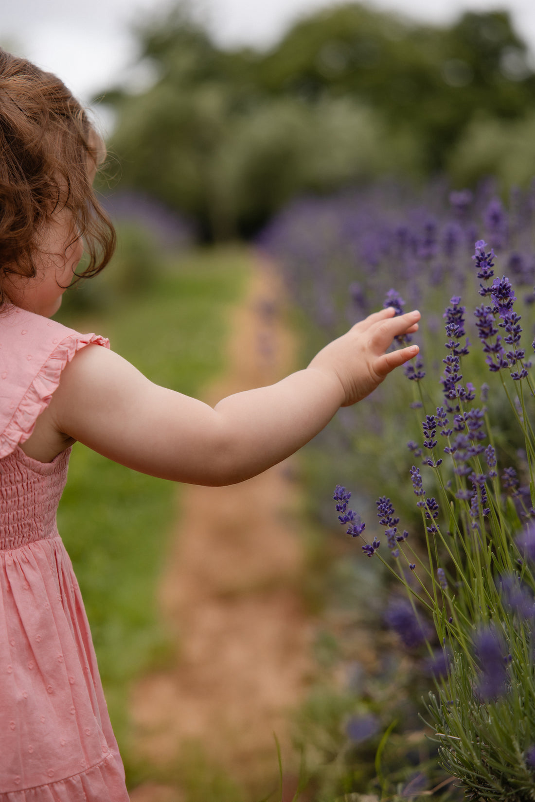Organic Cotton Claudine Dress - Swiss Pink Childrens Dress from Jamie Kay NZ