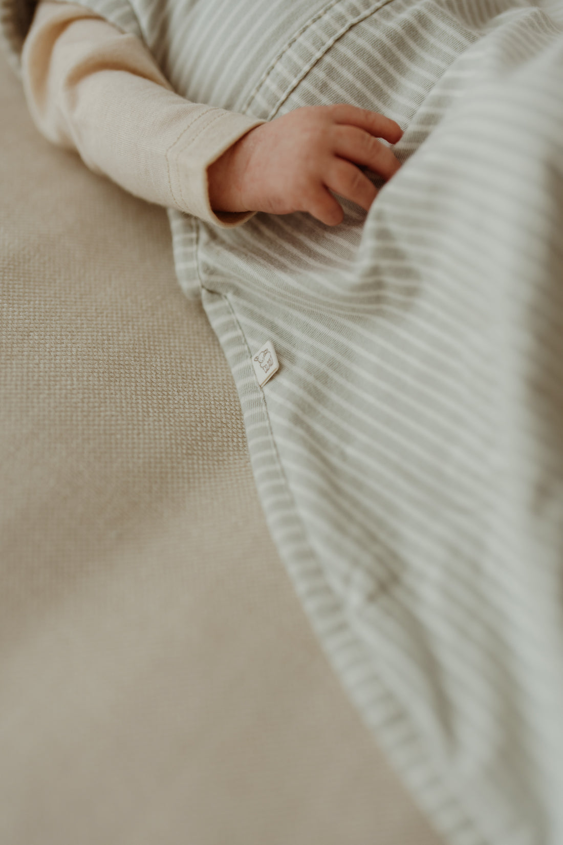 Merino Kids Go Go Bag - All Seasons - Turtle Dove Stripe Childrens Sleeping Bag from Jamie Kay NZ