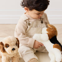 Snuggle Bunnies - Coco The Shih Tzu Childrens Toy from Jamie Kay NZ