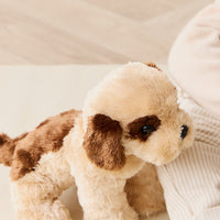 Snuggle Bunnies - Coco The Shih Tzu Childrens Toy from Jamie Kay NZ