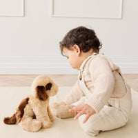 Snuggle Bunnies - Coco The Shih Tzu Childrens Toy from Jamie Kay NZ