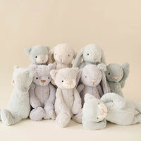 Snuggle Bunnies - Elsie the Kitty - Willow Childrens Toy from Jamie Kay NZ