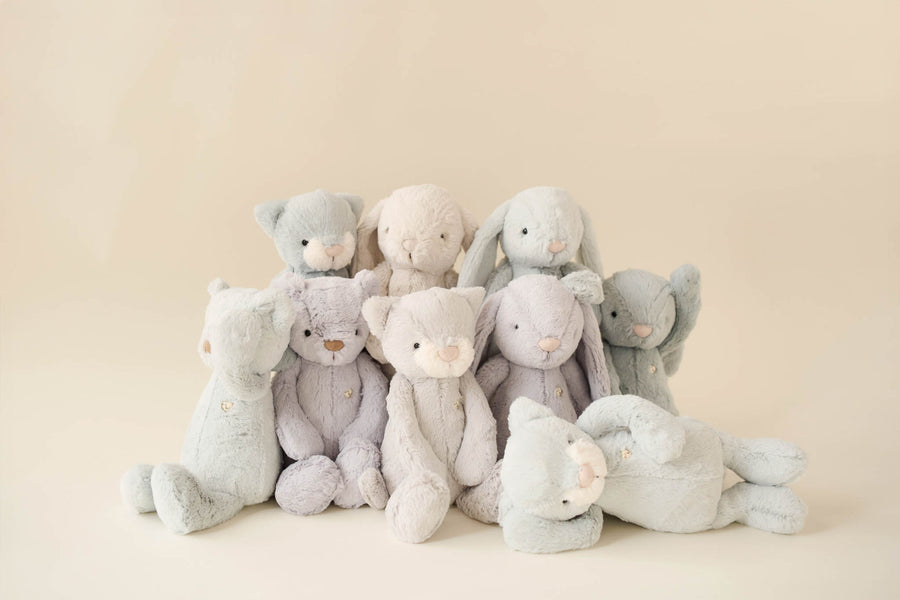 Snuggle Bunnies - Elsie the Kitty - Willow Childrens Toy from Jamie Kay NZ