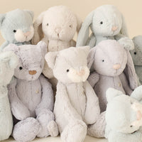 Snuggle Bunnies - George the Bear - Droplet Childrens Toy from Jamie Kay NZ