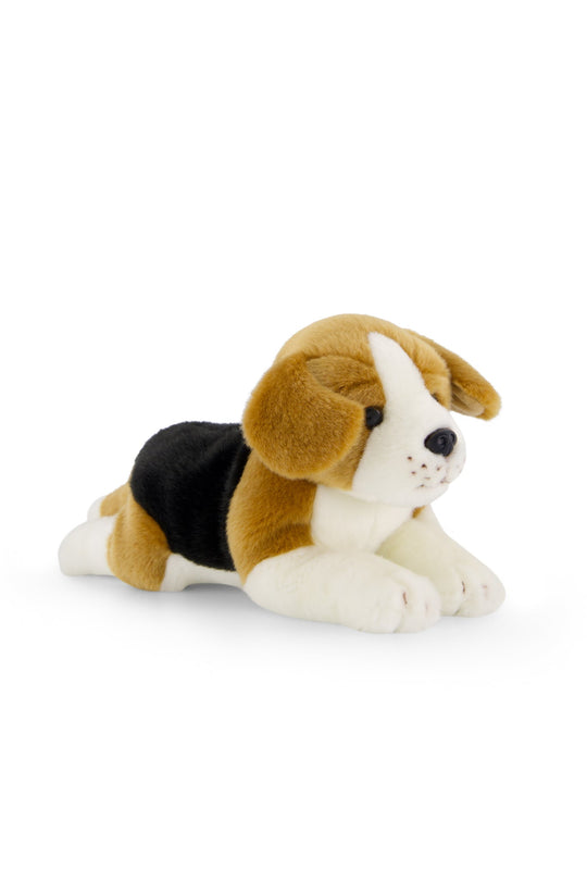 Snuggle Bunnies - Brooklyn The Beagle Childrens Toy from Jamie Kay NZ