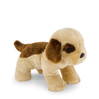 Snuggle Bunnies - Coco The Shih Tzu Childrens Toy from Jamie Kay NZ