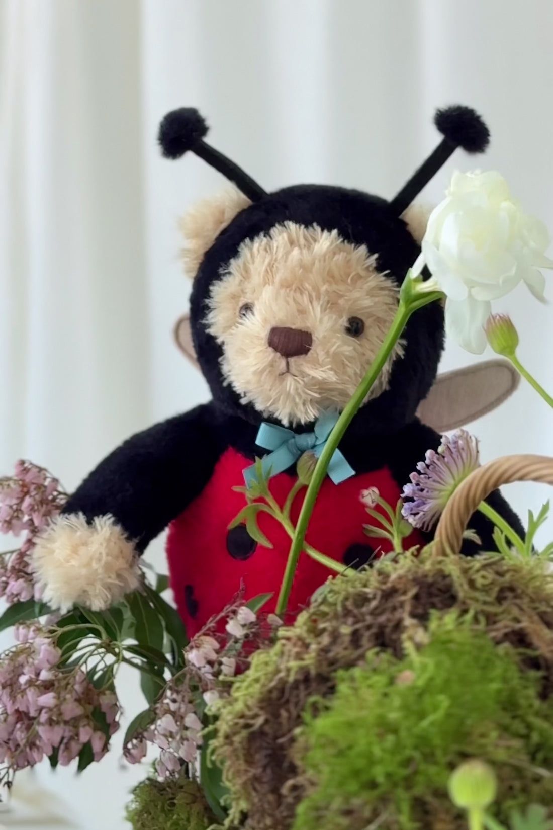Snuggle Bunnies - Arthur the Bear - Lovebug Childrens Toys from Jamie Kay NZ
